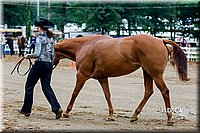 4H-District-16-0949.jpg