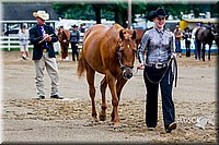 4H-District-16-0950.jpg