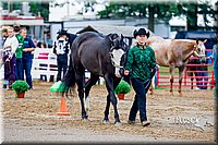 4H-District-16-0957.jpg