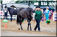 4H-District-16-0958.jpg