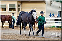 4H-District-16-0960.jpg