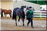 4H-District-16-0961.jpg