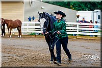 4H-District-16-0963.jpg