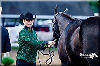 4H-District-16-0966.jpg