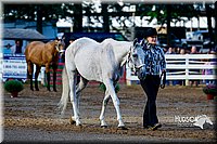 4H-District-16-0969.jpg