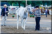 4H-District-16-0983.jpg