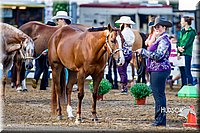 4H-District-16-0989.jpg