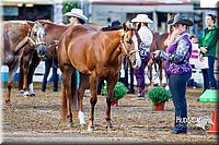 4H-District-16-0990.jpg