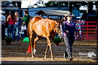 4H-District-16-0992.jpg