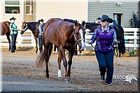 4H-District-16-0997.jpg