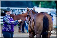 4H-District-16-1002.jpg