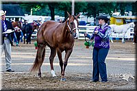 4H-District-16-1004.jpg