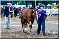 4H-District-16-1005.jpg