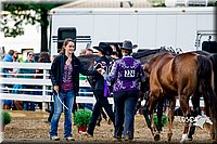 4H-District-16-1009.jpg