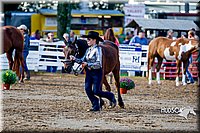 4H-District-16-1011.jpg