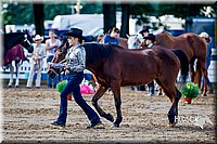 4H-District-16-1012.jpg