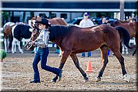 4H-District-16-1013.jpg