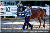 4H-District-16-1016.jpg