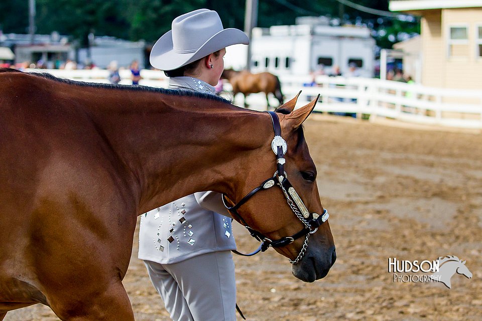 4H-District-16-1034.jpg