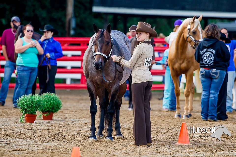4H-District-16-1035.jpg