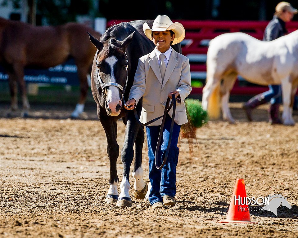 4H-District-16-1053.jpg