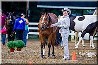 4H-District-16-1021.jpg