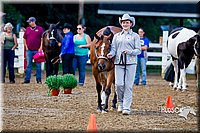 4H-District-16-1022.jpg