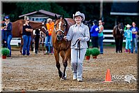 4H-District-16-1024.jpg