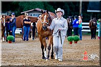 4H-District-16-1025.jpg