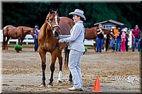 4H-District-16-1028.jpg