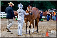 4H-District-16-1029.jpg