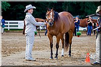 4H-District-16-1030.jpg