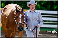 4H-District-16-1032.jpg