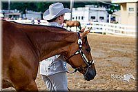 4H-District-16-1034.jpg