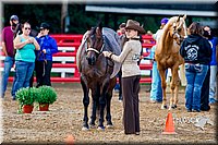 4H-District-16-1035.jpg