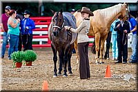 4H-District-16-1036.jpg