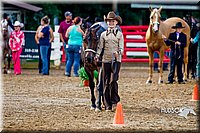 4H-District-16-1037.jpg