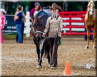 4H-District-16-1038.jpg