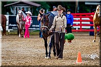 4H-District-16-1039.jpg