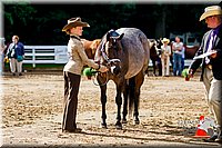 4H-District-16-1042.jpg