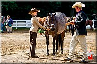 4H-District-16-1043.jpg