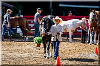 4H-District-16-1050.jpg
