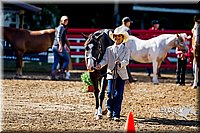4H-District-16-1051.jpg