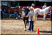 4H-District-16-1052.jpg