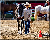 4H-District-16-1053.jpg