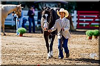 4H-District-16-1054.jpg