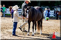 4H-District-16-1058.jpg