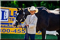 4H-District-16-1060.jpg