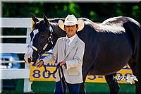 4H-District-16-1061.jpg