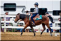 4H-District-16-1072.jpg